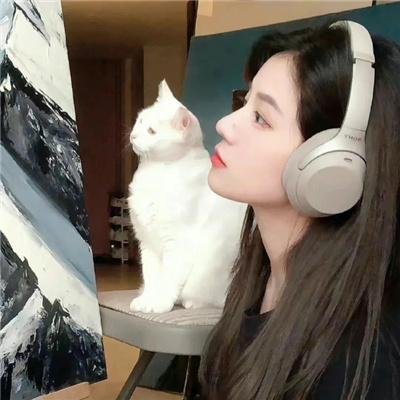 登堂入会
