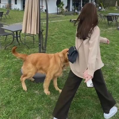 犬神的悪霊